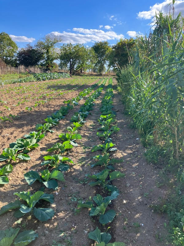 Maison - 61 m² - 5 pièces