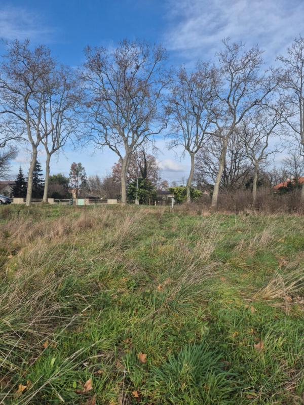 Terrain constructible - 1 274 m²
