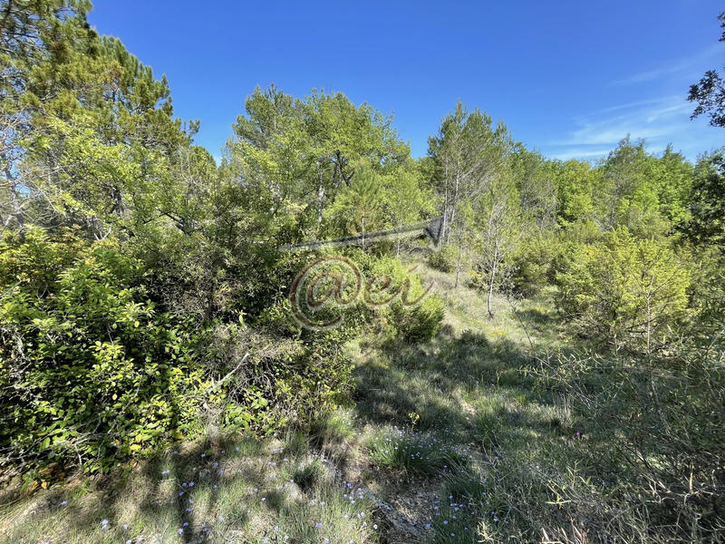 Terrain agricole - 5 893 m²