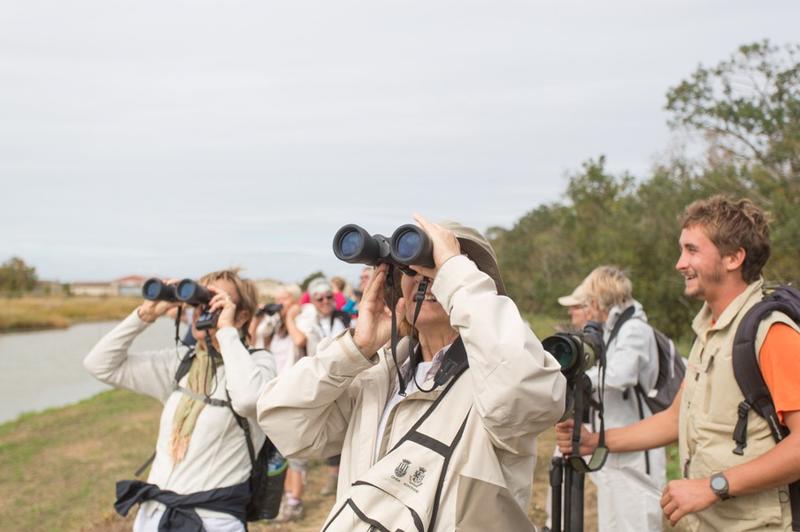 Découverte de l'Ile Nouvelle