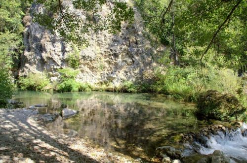 Les Bambous du Mandarin