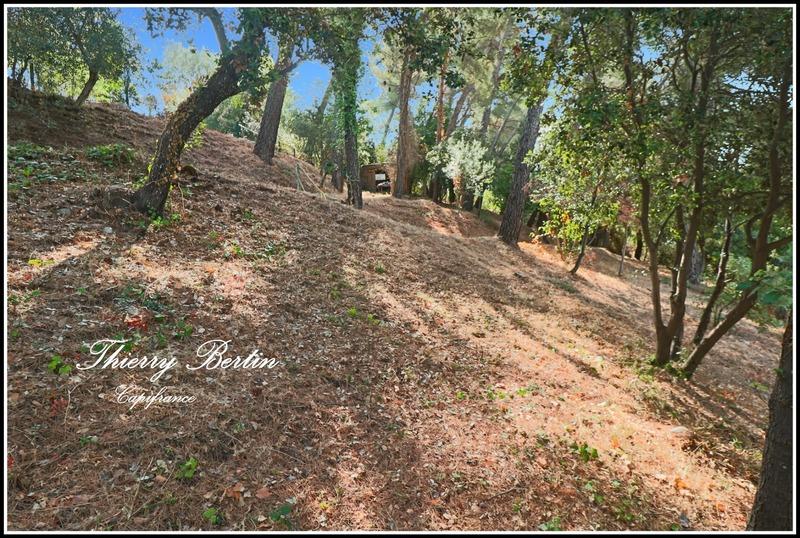 Terrain constructible - 1 200 m²