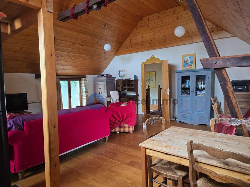 Maison ancienne - 273 m² - 9 pièces