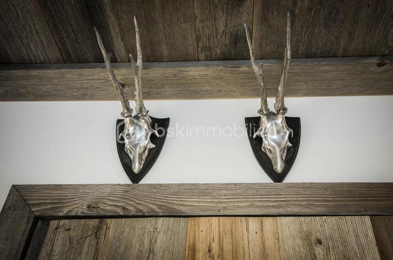 Studio - 25 m² - 1 pièce