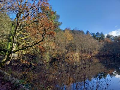 Balade Contée &quot;du Val au Graal&quot; en Brocéliande
