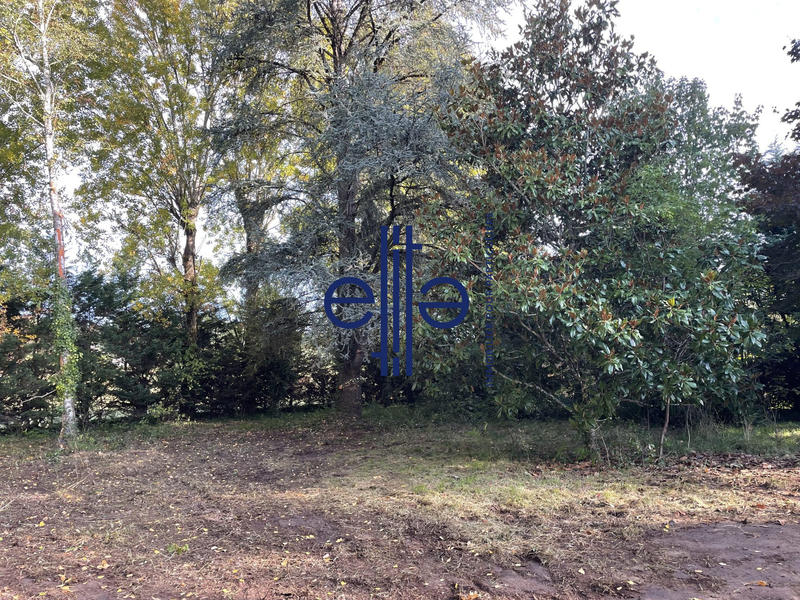 Maison - 190 m² - 5 pièces