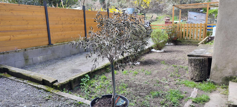 Maison - 55 m² - 2 pièces