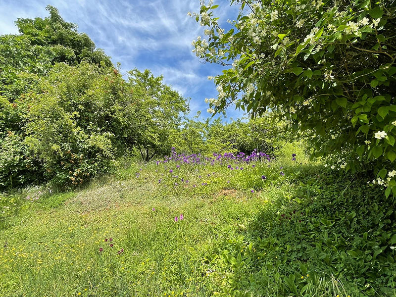 Longère - 66 m² - 3 pièces