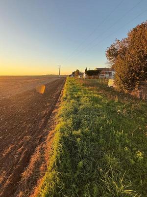 Terrain constructible - 3 049 m²