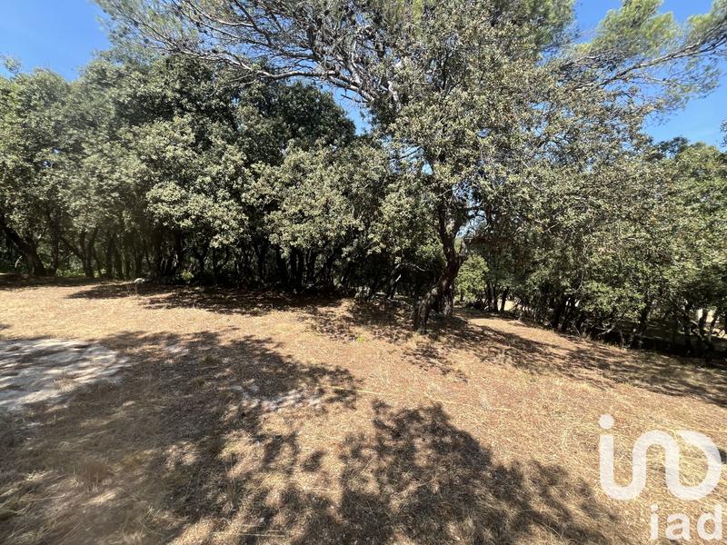 Maison - 185 m² - 5 pièces