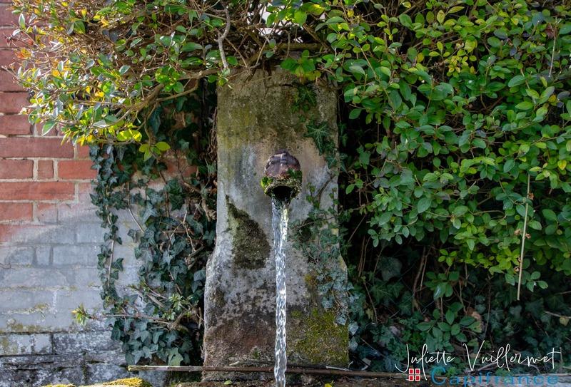 Maison bourgeoise - 393 m² - 10 pièces