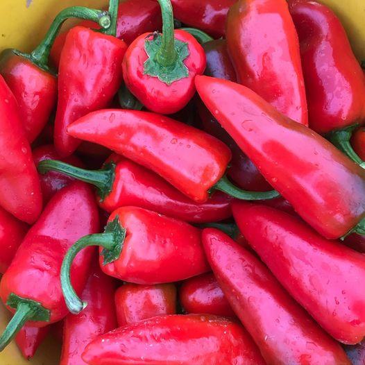 La Récolte des Gautier