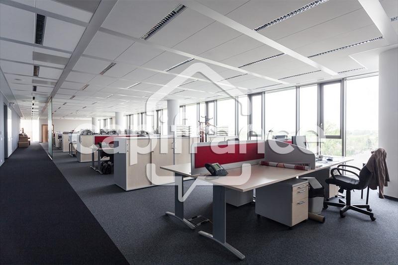 Bureau - 203 m² - 10 pièces