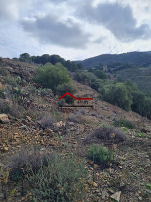 Terrain agricole - 11 820 m²