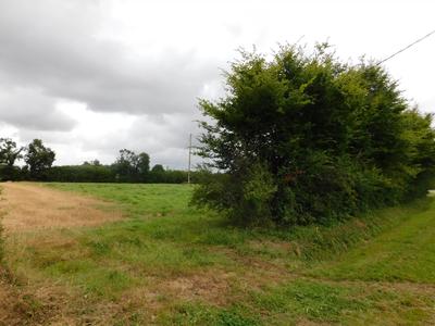 Terrain constructible - 6 829 m²