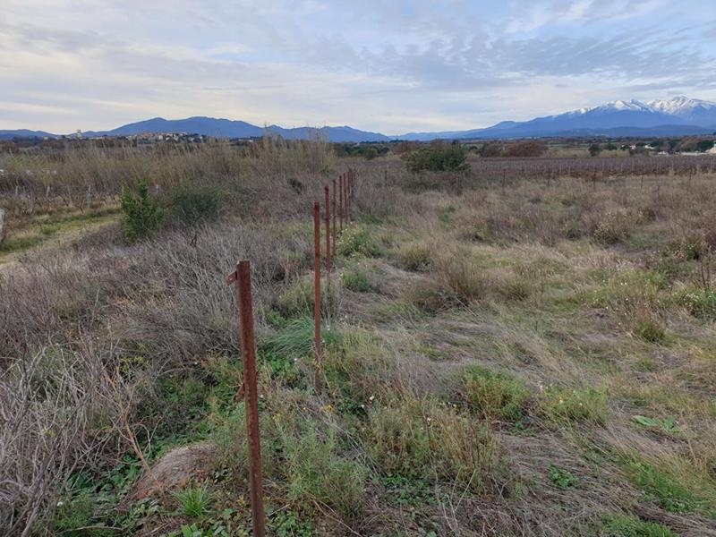 Terrain de loisirs - 4 530 m²