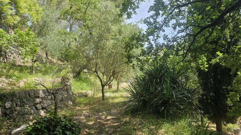 Maison - 181 m² - 5 pièces