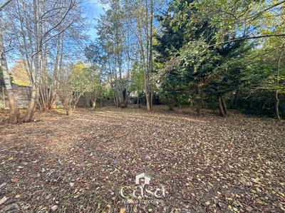 Terrain - 585 m²