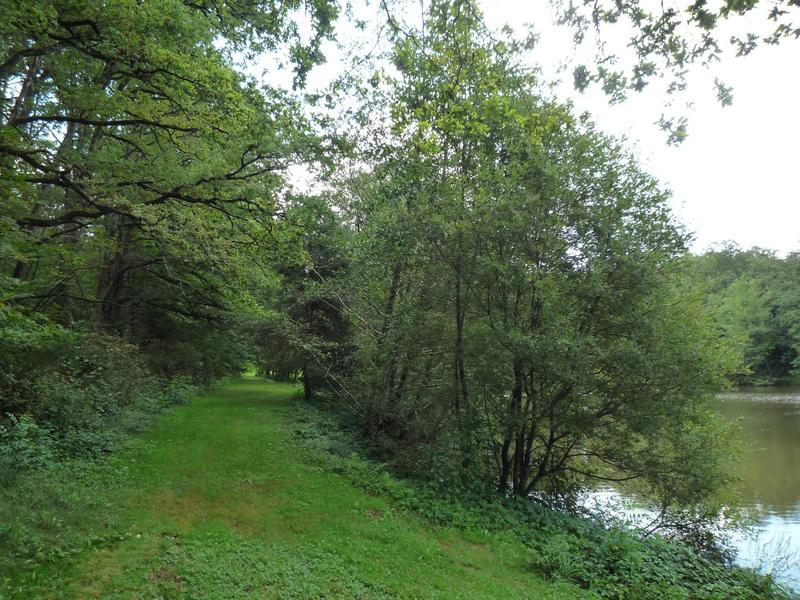 Terrain constructible - 41 380 m²