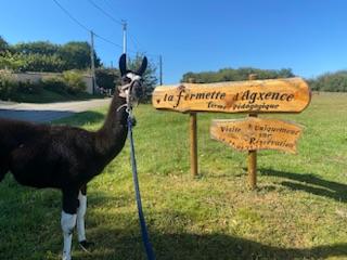 la fermette d’agxence