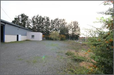 Loft - 500 m² - 3 pièces