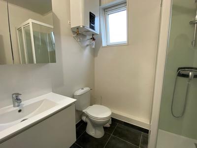 Studio - 30 m² - 1 pièce