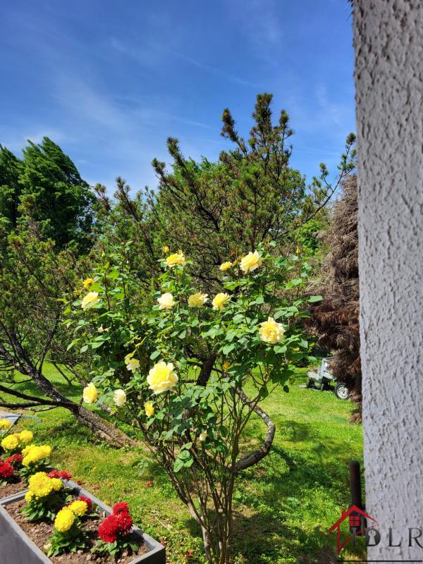 Maison - 175 m² - 5 pièces