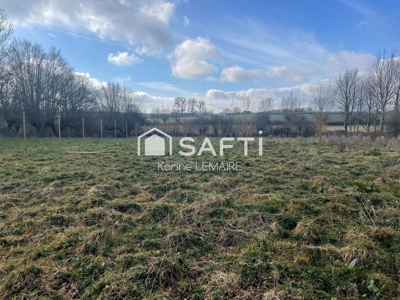 Terrain - 11 965 m²