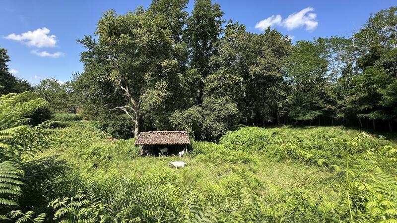 Maison d'architecte - 188 m² - 7 pièces