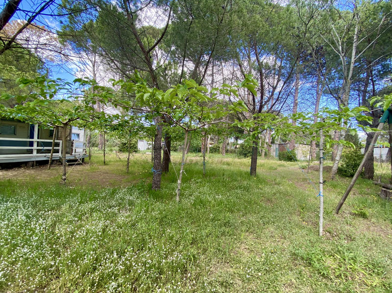 Terrain de loisirs - 1 614 m²