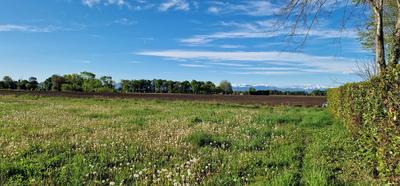 Terrain constructible - 1 528 m²