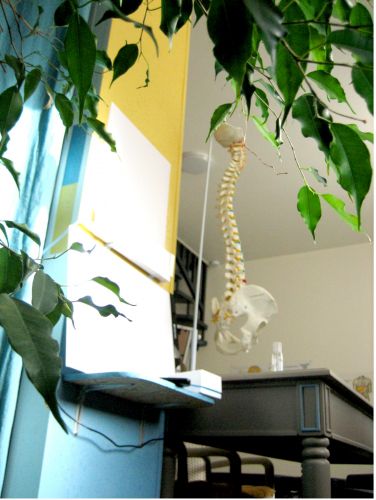 M.R. Chaudhuri - Chiropraxie