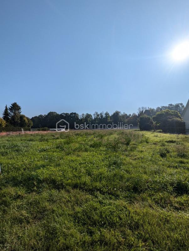 Terrain constructible - 1 237 m²