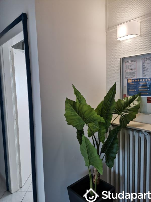 Chambre - 14 m² - 1 pièce