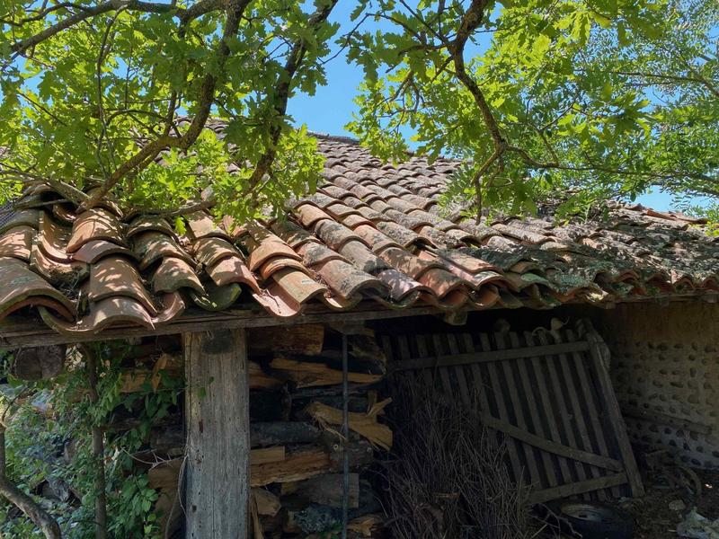 Maison - 35 m² - 2 pièces