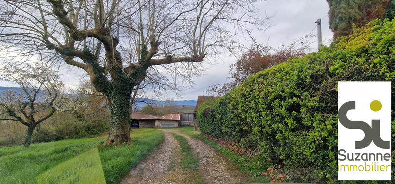 Viager - Ferme - 158 m² - 6 pièces