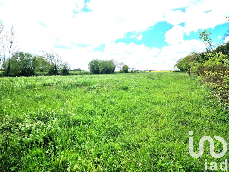 Maison de maîtres - 205 m² - 8 pièces