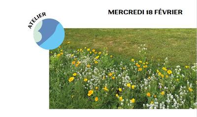 Atelier mauvaises herbes