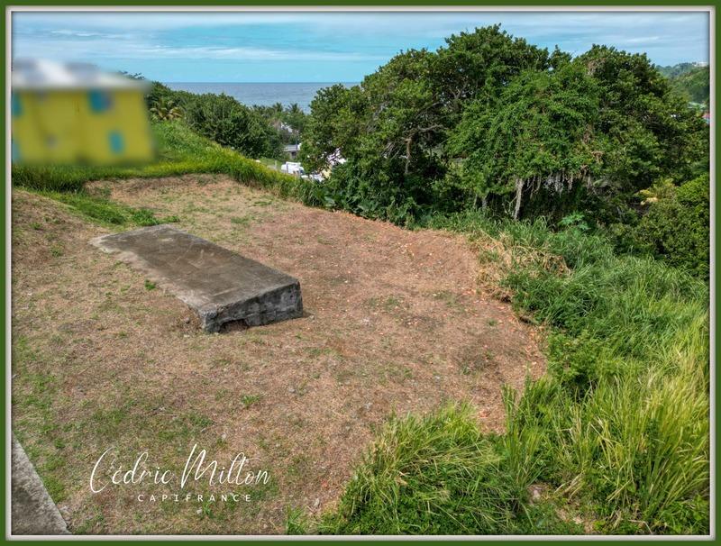 Terrain constructible - 1 232 m²