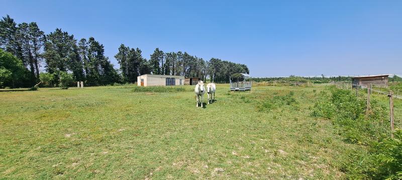 Propriété - 286 m² - 9 pièces