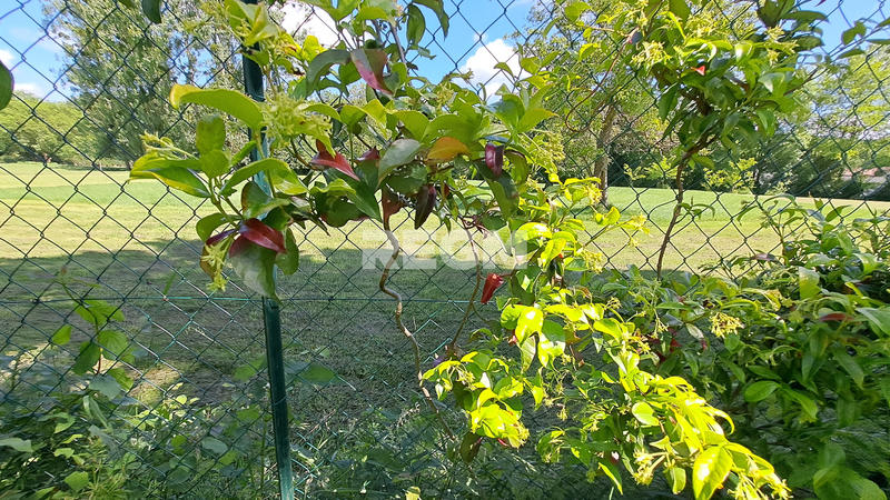 Maison - 240 m² - 8 pièces