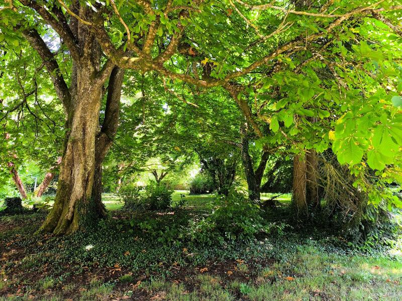 Maison - 146 m² - 5 pièces