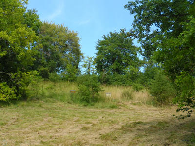 Terrain - 2 500 m²