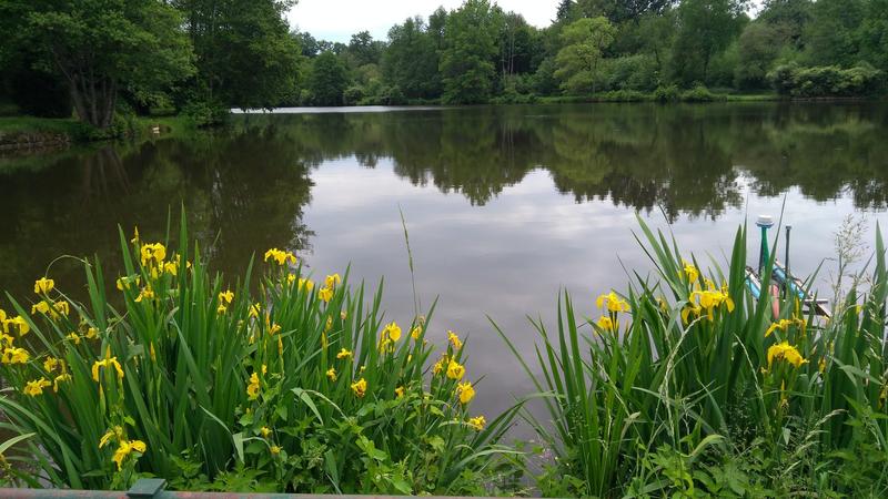 Propriété - 165 m² - 6 pièces