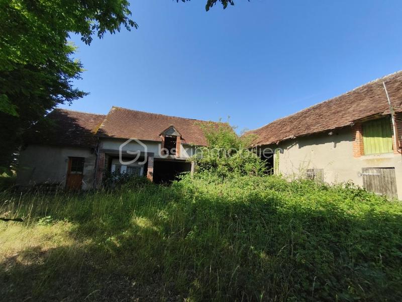 Fermette - 20 m² - 1 pièce