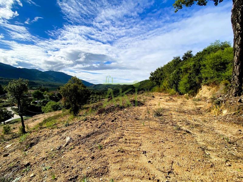 Villa - 120 m² - 4 pièces