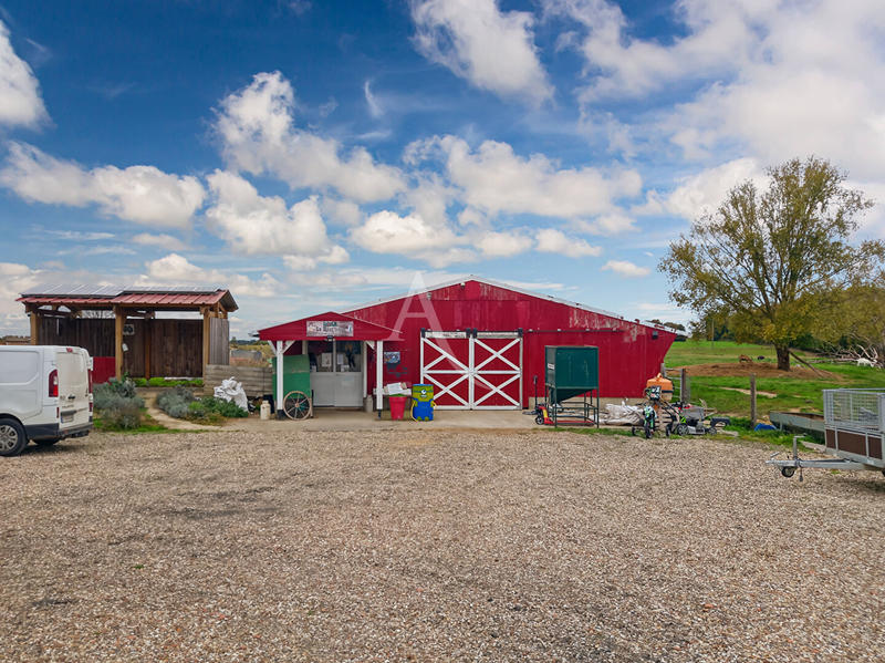 Local d'activité / Entrepôt - 1 241 m²