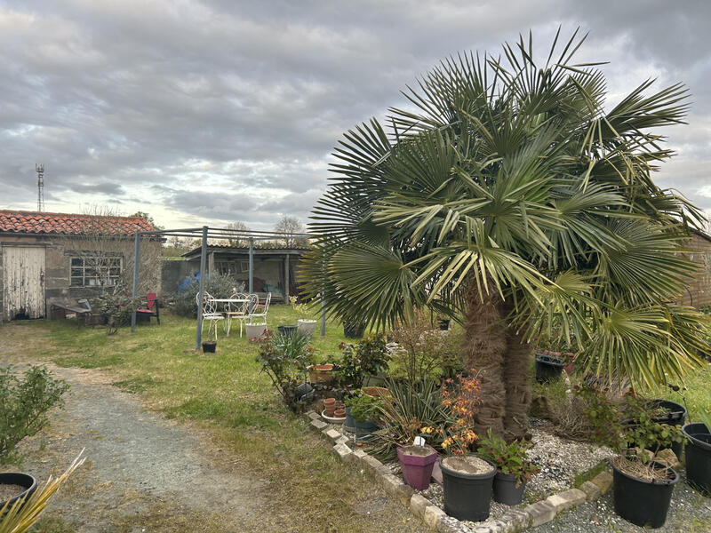 Maison - 140 m² - 5 pièces