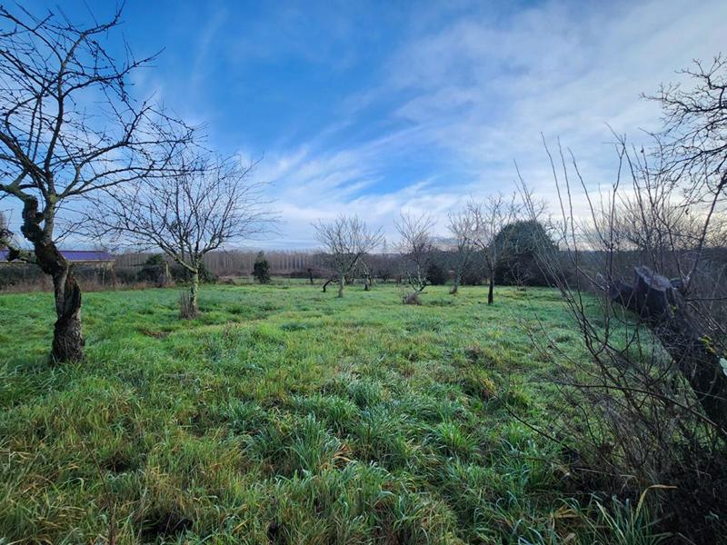 Terrain constructible - 1 646 m²