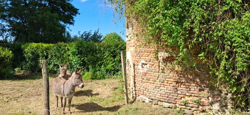 Château - 1 800 m² - 30 pièces